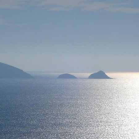 Villasoledad Appartamenti Per Vacanze Capoliveri  Exterior foto