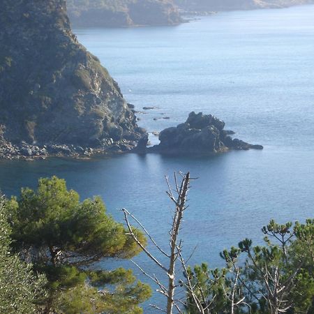 Villasoledad Appartamenti Per Vacanze Capoliveri  Exterior foto